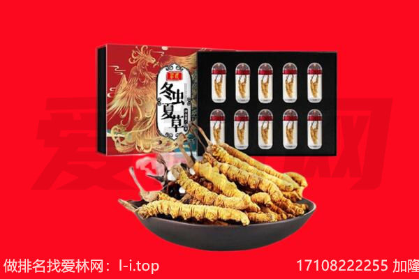 绵阳平武县回收虫草.jpg